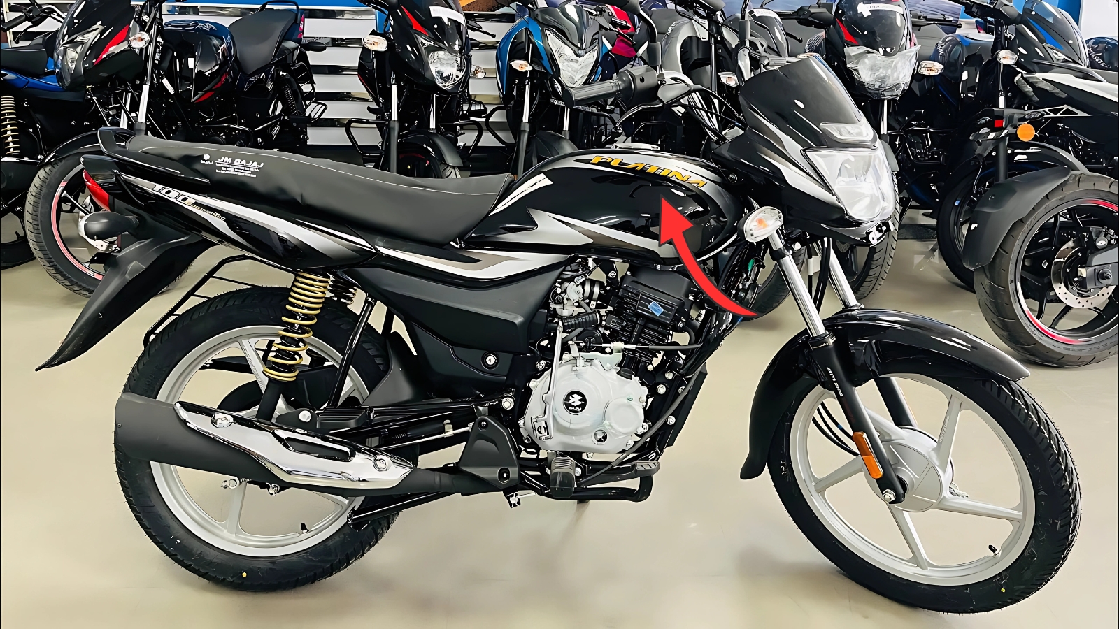 Bajaj Platina 100
