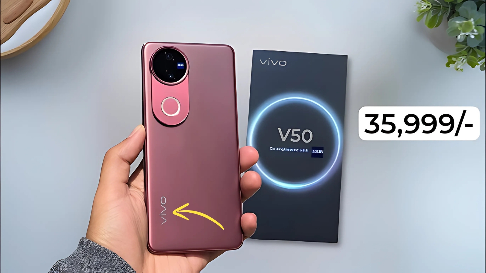 Vivo V50 5G